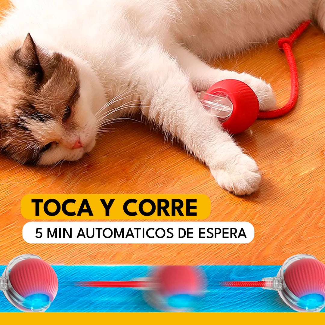 PELOTAVIVA - Pelota inteligente 100% autónoma para gatos 🐾